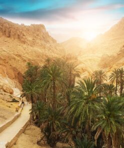 TUNISIA: CITTÀ ROMANE E OASI