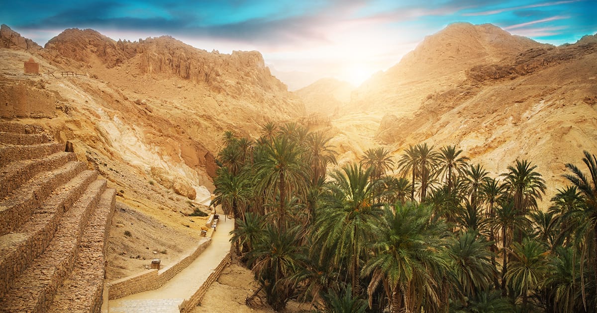 TUNISIA: CITTÀ ROMANE E OASI