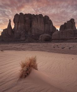 ALGERIA - DAL MEDITERRANEO AL SAHARA