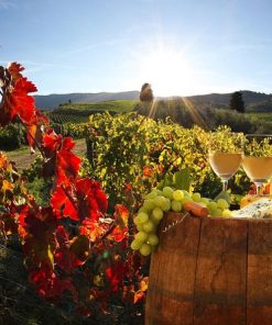 TUSCANY - A BIT OF TUSCAN CUISINE