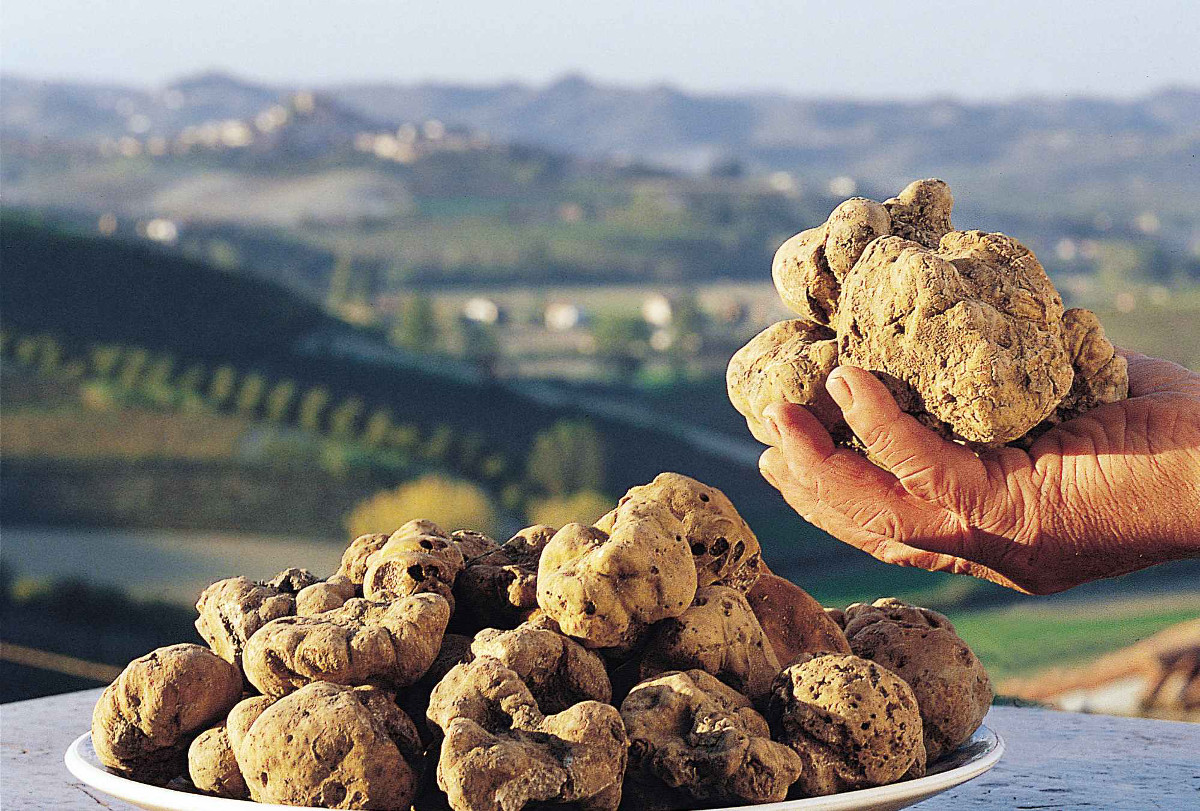 GOURMET ITINERARY IN PIEDMONT ITALY