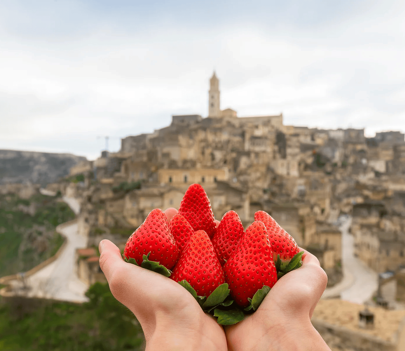 fragole-Matera