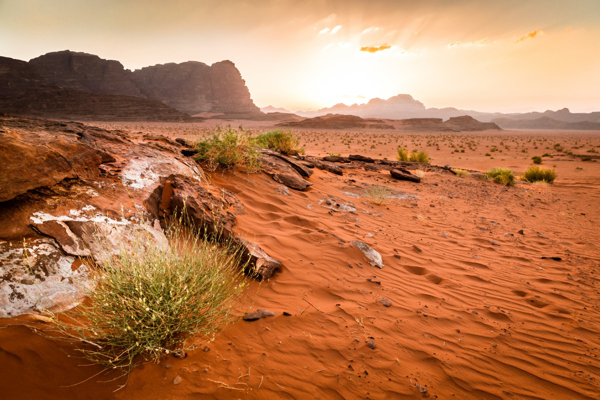 wadi-rum-3297