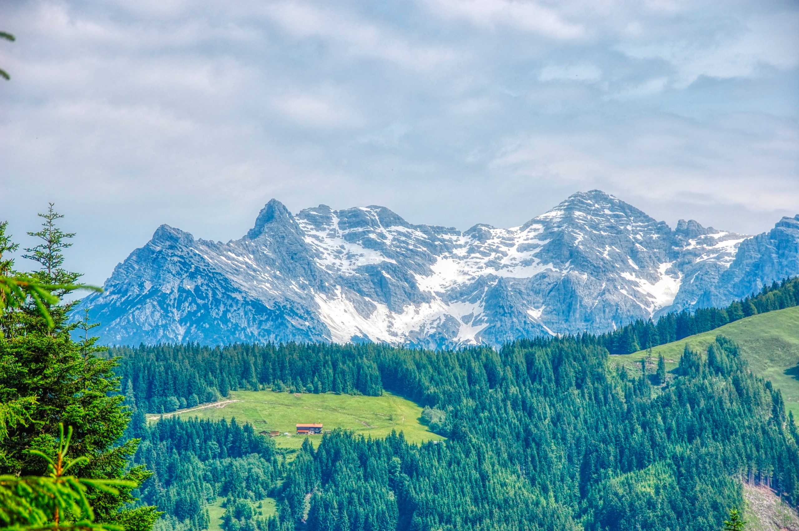 SETTIMANA VERDE NEL CUORE DEL TIROLO