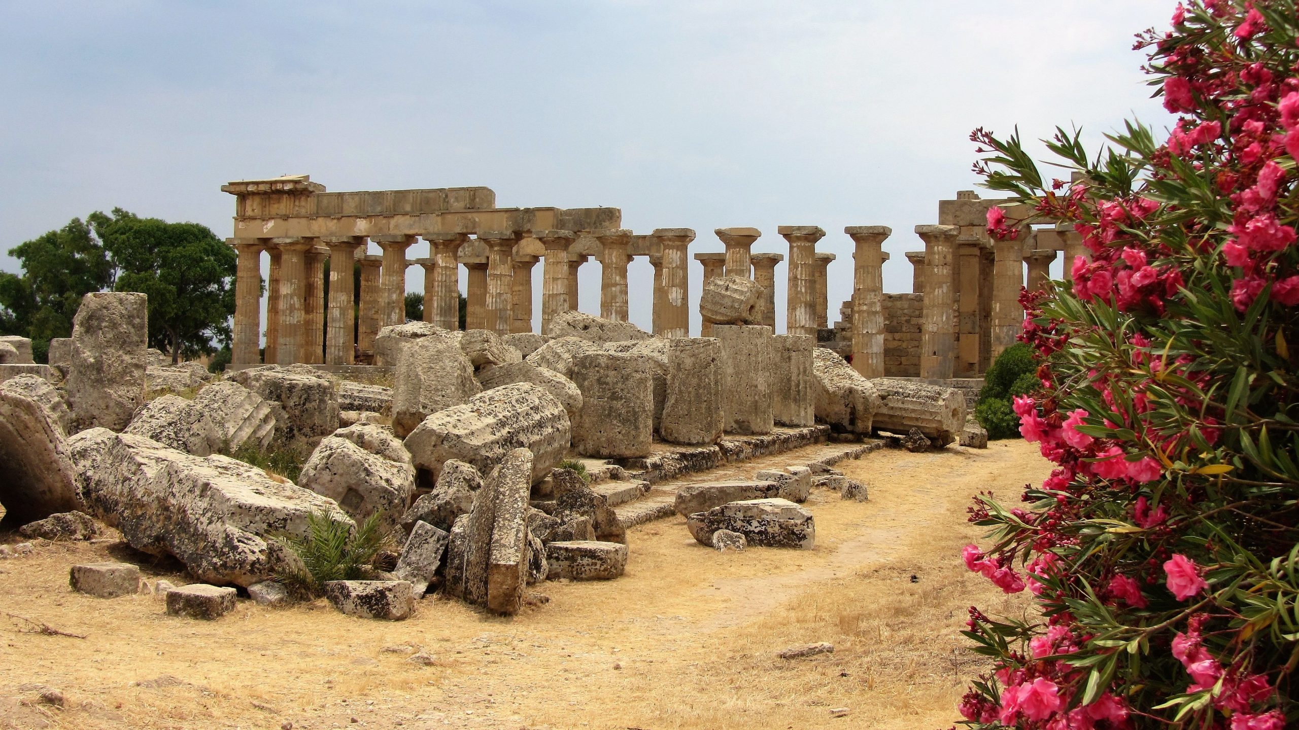 ellen26-sicily-2503859