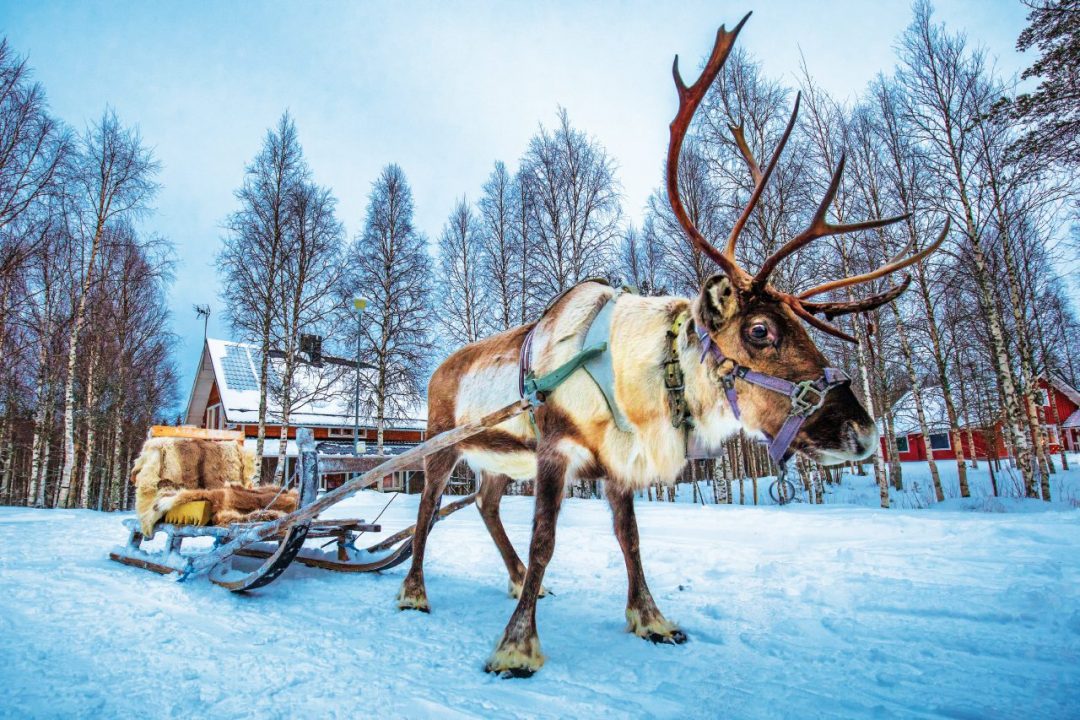 DOPPIO CAPODANNO IN LAPPONIA