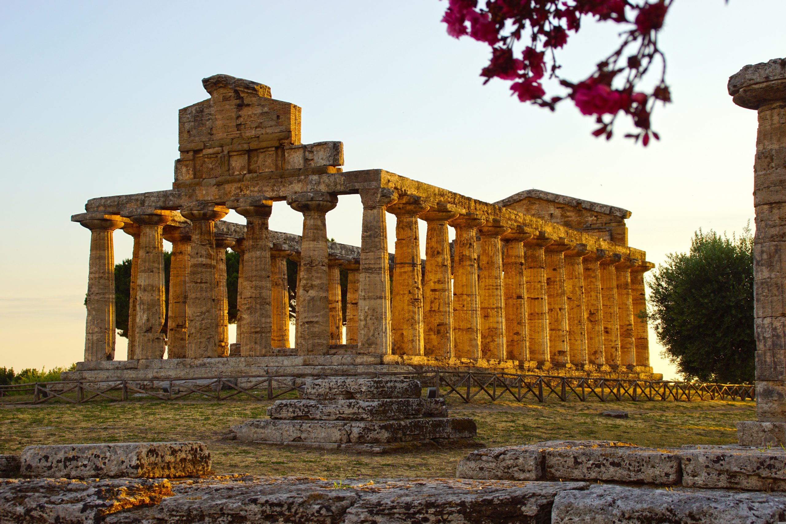 scapin-italy-2454059